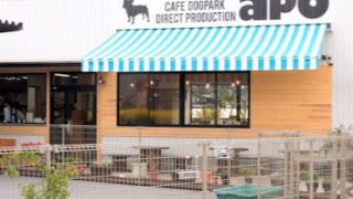 農家カフェ＆ドッグラン apo【あぽ】