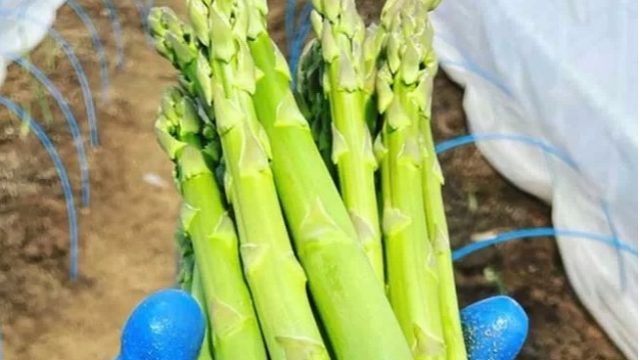 ブルブルファーム20（ニレイ）