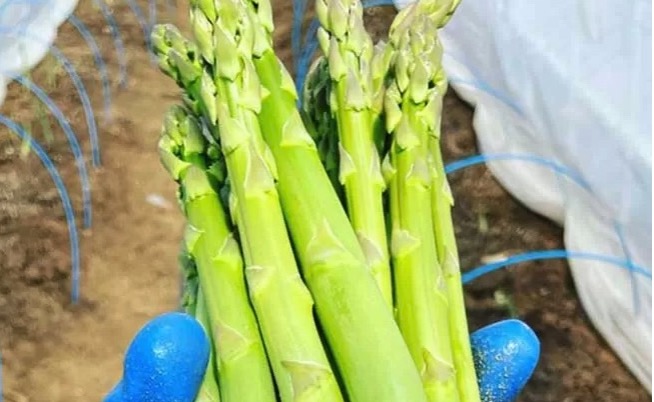 ブルブルファーム20（ニレイ）