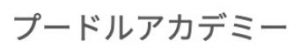 プードル　アカデミー
