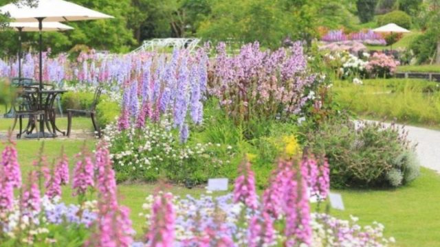 やまぐちフラワーランド