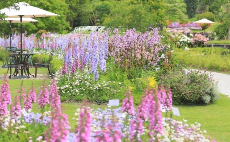 やまぐちフラワーランド