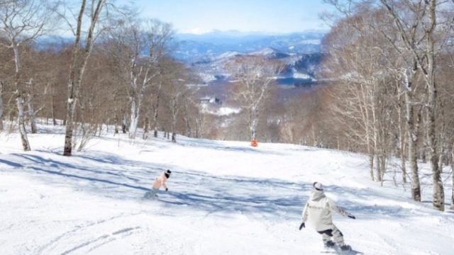 たんばらスキーパーク