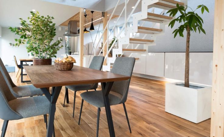 株式会社クジラテラス