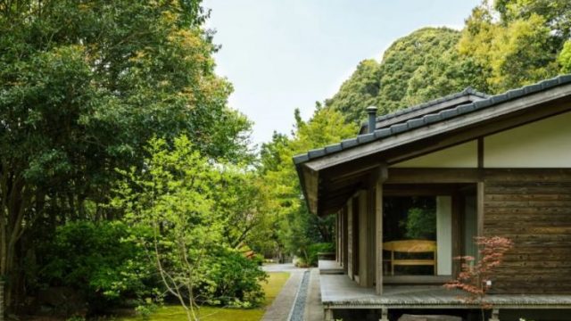 木木木木 KIGI MOKU MOKU