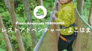 フォレストアドベンチャー・よこはま